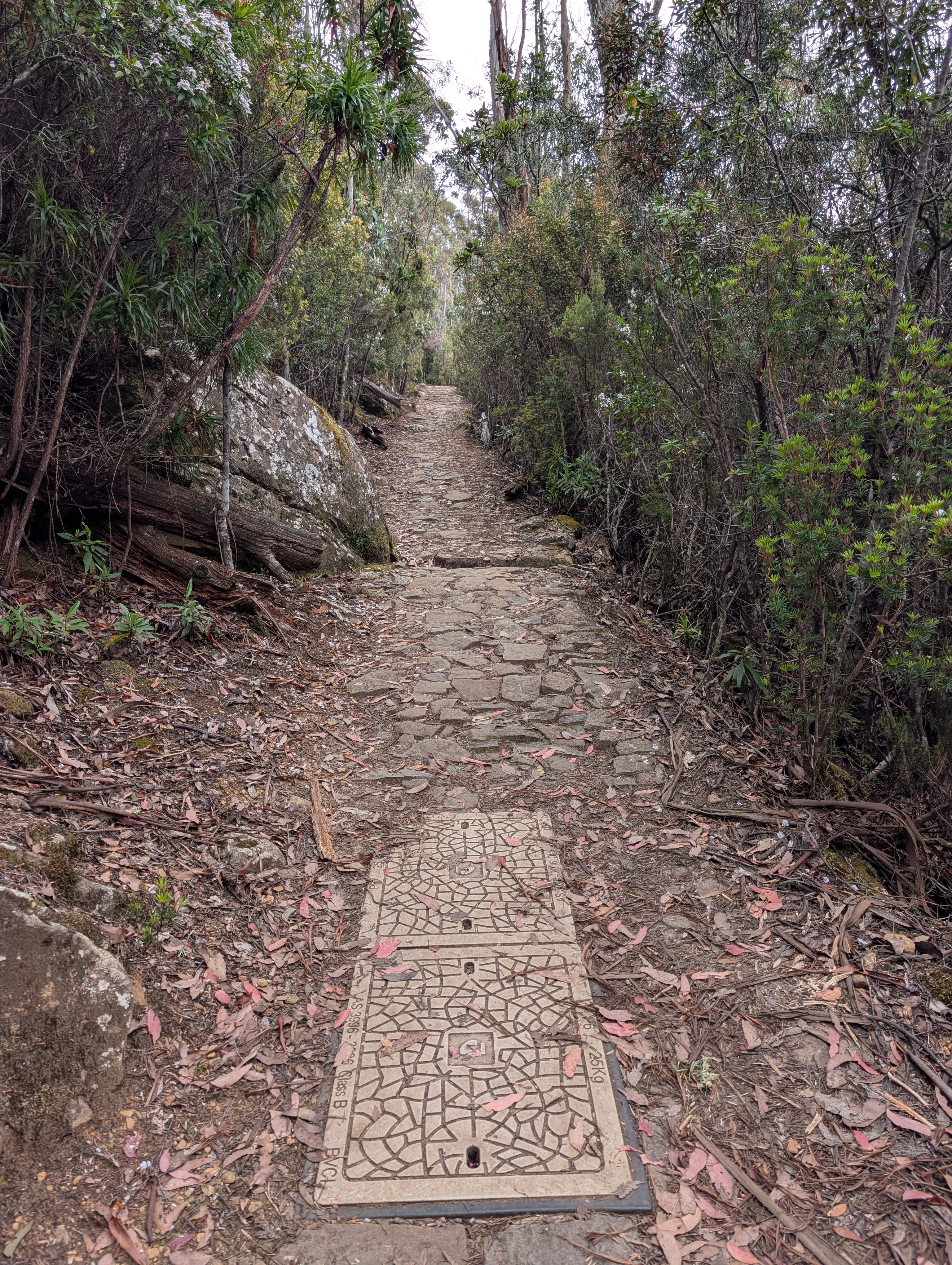 Telecommunications access lid located in a bushland environment
